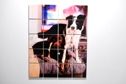 Your Pet Wall Art Collage