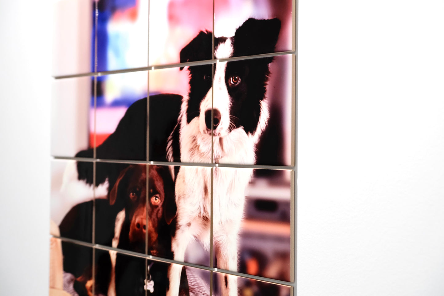 Your Pet Wall Art Collage