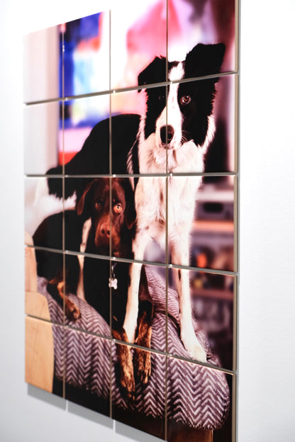 Your Pet Wall Art Collage