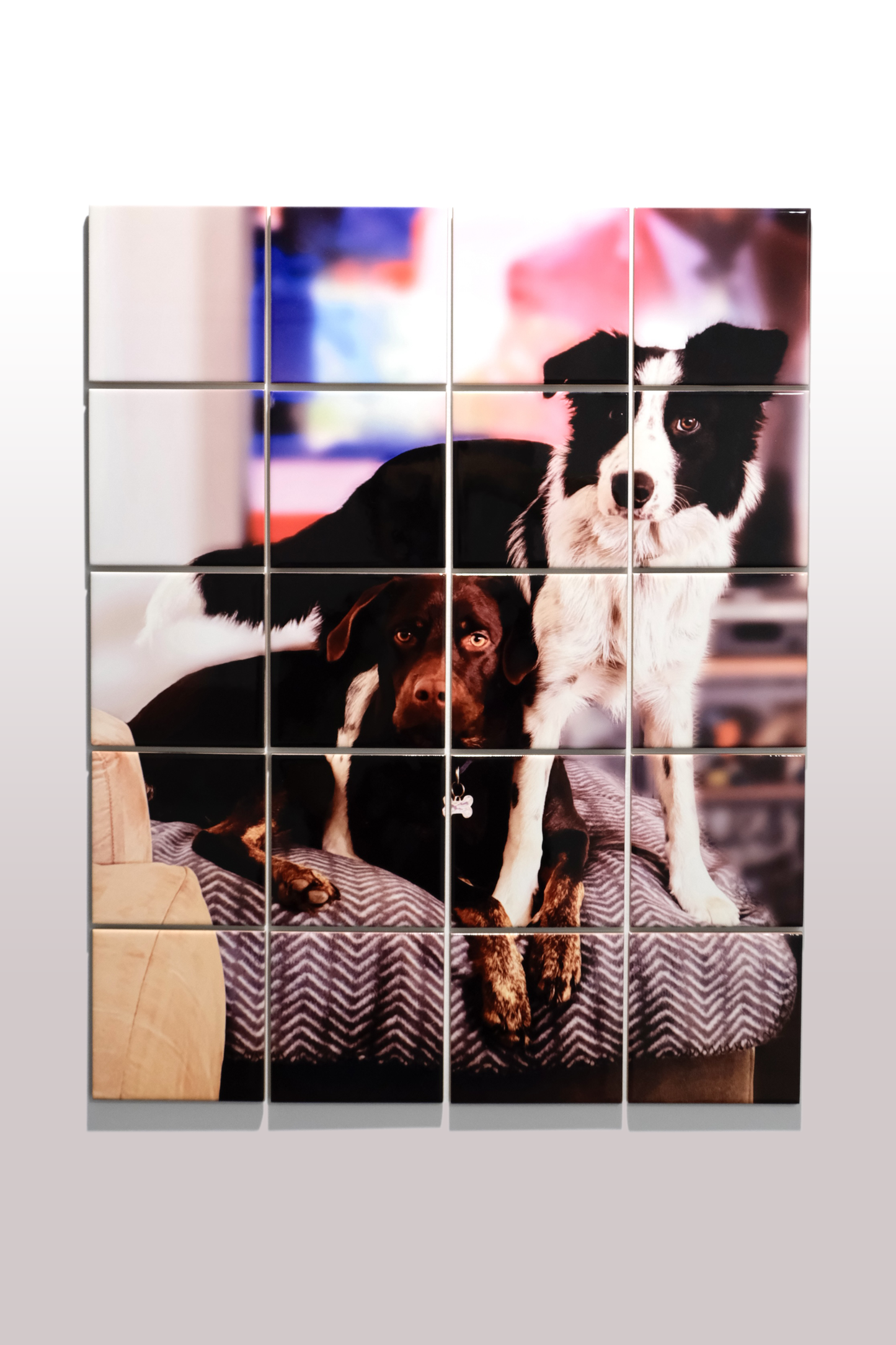 Your Pet Wall Art Collage